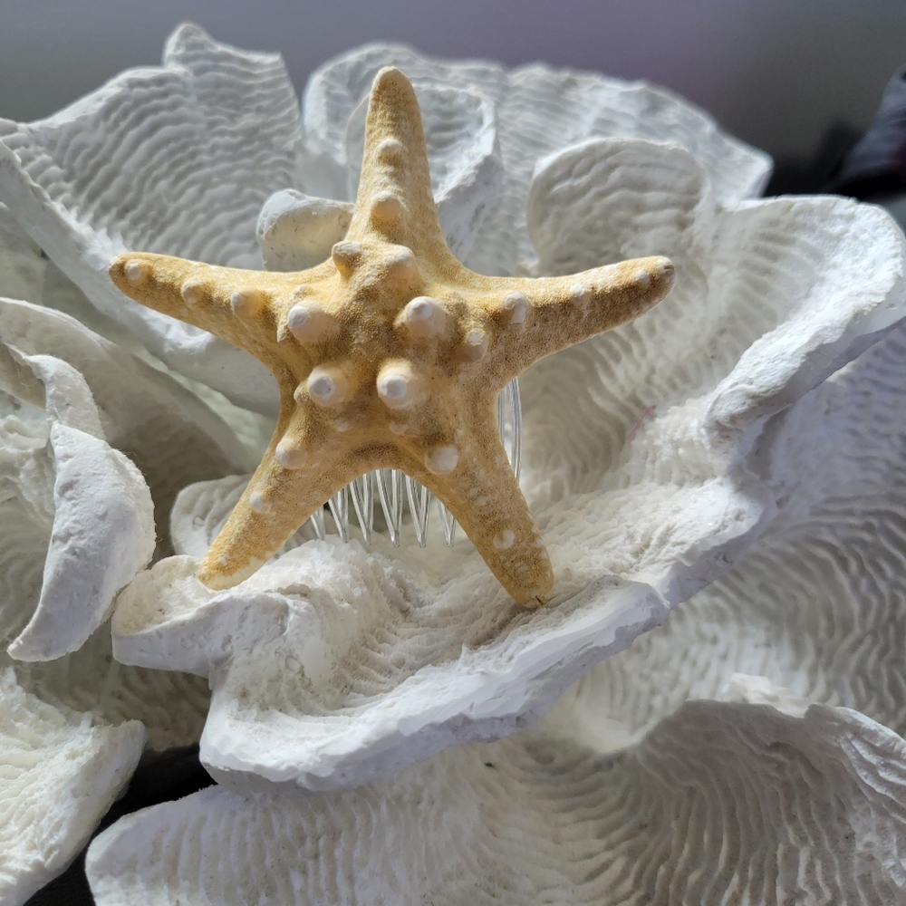 Authentic Starfish Hair Accessory - Picture 3 of 12